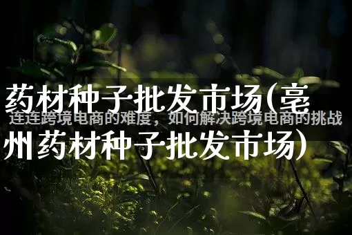 药材种子批发市场(亳州药材种子批发市场)_https://www.rzcpcj.com_天猫运营_第1张