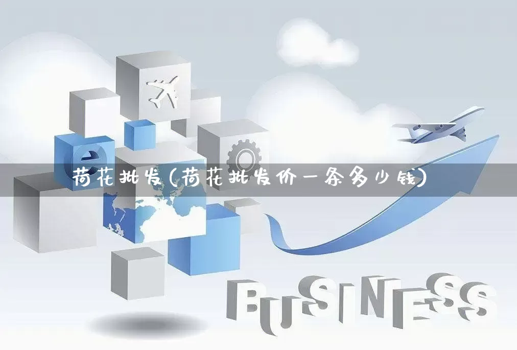 荷花批发(荷花批发价一条多少钱)_https://www.rzcpcj.com_直通车_第1张