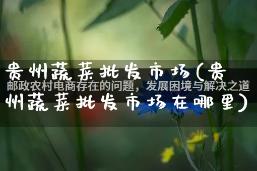 贵州蔬菜批发市场(贵州蔬菜批发市场在哪里)_https://www.rzcpcj.com_抖音快手_第1张