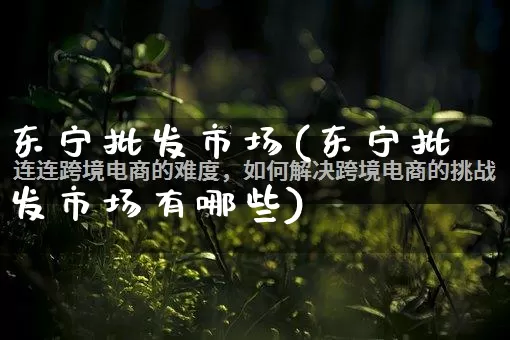 东宁批发市场(东宁批发市场有哪些)_https://www.rzcpcj.com_抖音快手_第1张