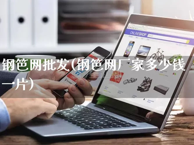 钢笆网批发(钢笆网厂家多少钱一片)_https://www.rzcpcj.com_淘宝运营_第1张