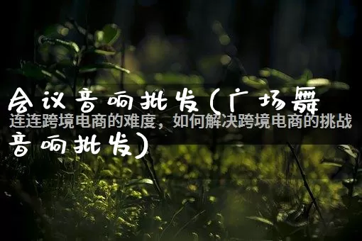 会议音响批发(广场舞音响批发)_https://www.rzcpcj.com_天猫运营_第1张