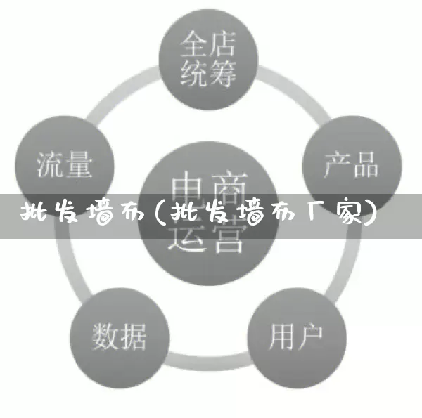 批发墙布(批发墙布厂家)_https://www.rzcpcj.com_代运营_第1张