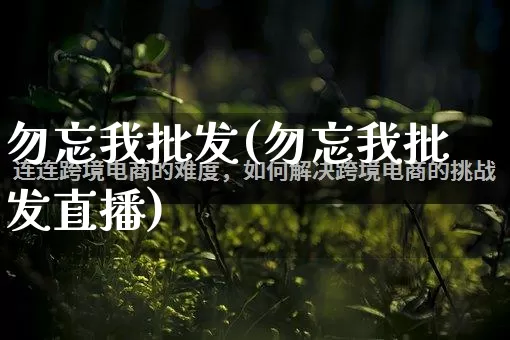 勿忘我批发(勿忘我批发直播)_https://www.rzcpcj.com_抖音快手_第1张