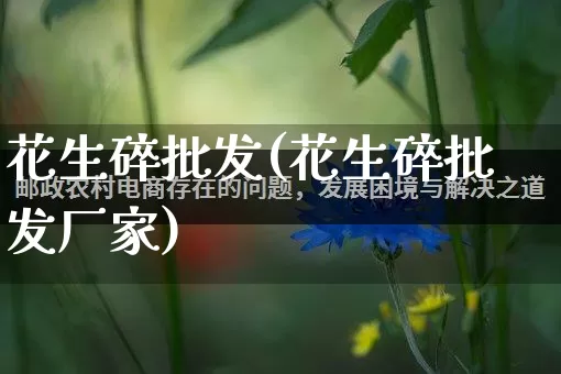 花生碎批发(花生碎批发厂家)_https://www.rzcpcj.com_开网店_第1张
