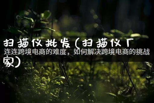 扫描仪批发(扫描仪厂家)_https://www.rzcpcj.com_代运营_第1张