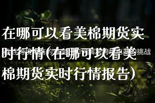 在哪可以看美棉期货实时行情(在哪可以看美棉期货实时行情报告)_https://www.rzcpcj.com_淘宝运营_第1张