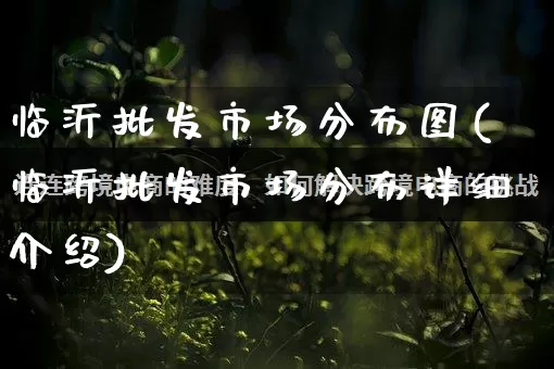 临沂批发市场分布图(临沂批发市场分布详细介绍)_https://www.rzcpcj.com_直通车_第1张