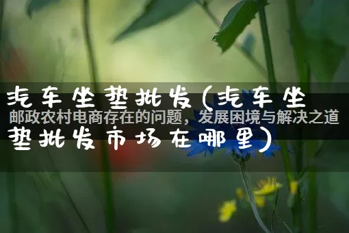 汽车坐垫批发(汽车坐垫批发市场在哪里)_https://www.rzcpcj.com_开网店_第1张
