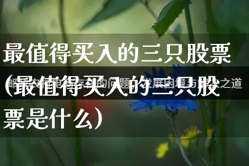 最值得买入的三只股票(最值得买入的三只股票是什么)_https://www.rzcpcj.com_天猫运营_第1张