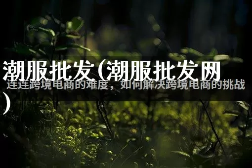 潮服批发(潮服批发网)_https://www.rzcpcj.com_开网店_第1张