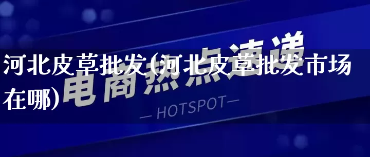 河北皮草批发(河北皮草批发市场在哪)_https://www.rzcpcj.com_代运营_第1张