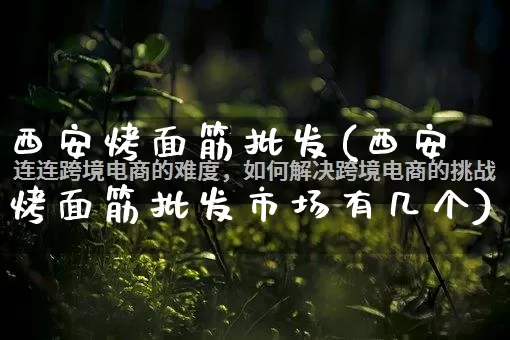 西安烤面筋批发(西安烤面筋批发市场有几个)_https://www.rzcpcj.com_淘宝运营_第1张