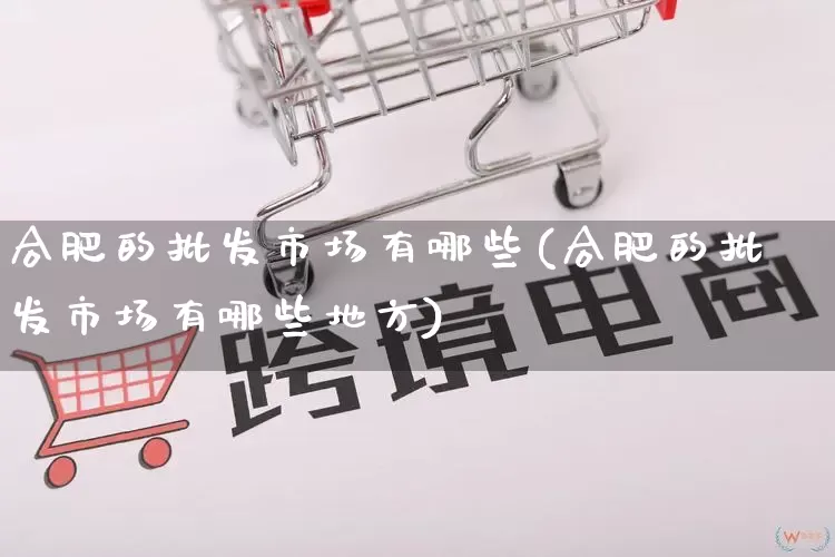 合肥的批发市场有哪些(合肥的批发市场有哪些地方)_https://www.rzcpcj.com_开网店_第1张