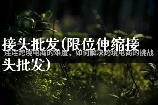 接头批发(限位伸缩接头批发)_https://www.rzcpcj.com_直通车_第1张
