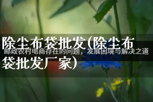 除尘布袋批发(除尘布袋批发厂家)_https://www.rzcpcj.com_天猫运营_第1张