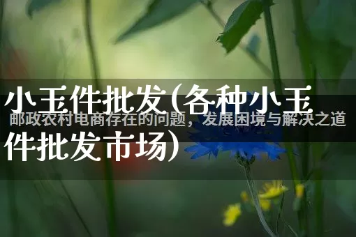 小玉件批发(各种小玉件批发市场)_https://www.rzcpcj.com_抖音快手_第1张