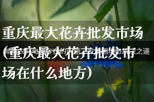 重庆最大花卉批发市场(重庆最大花卉批发市场在什么地方)_直通车_第1张_电商运营网 重庆最大花卉批发市场(重庆最大花卉批发市场在什么地方)_https://www.rzcpcj.com_直通车_第1张
