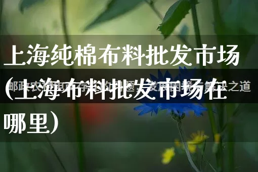 上海纯棉布料批发市场(上海布料批发市场在哪里)_https://www.rzcpcj.com_直通车_第1张