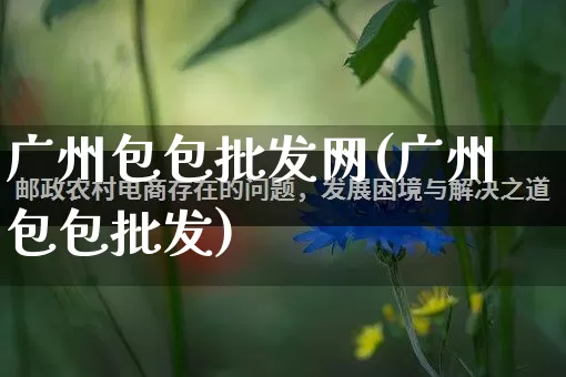 广州包包批发网(广州包包批发)_https://www.rzcpcj.com_淘宝运营_第1张