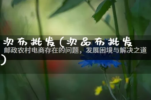 次布批发(次品布批发)_https://www.rzcpcj.com_开网店_第1张