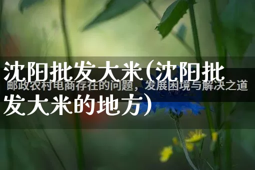 沈阳批发大米(沈阳批发大米的地方)_https://www.rzcpcj.com_天猫运营_第1张