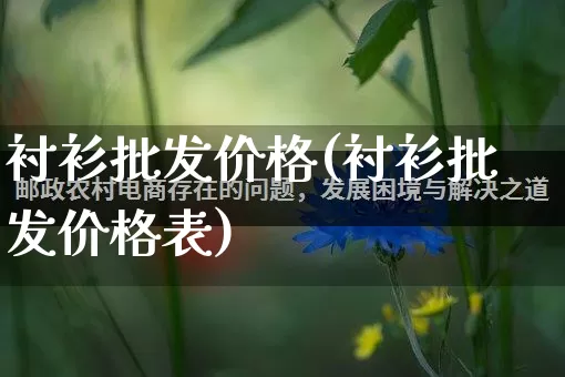 衬衫批发价格(衬衫批发价格表)_https://www.rzcpcj.com_抖音快手_第1张