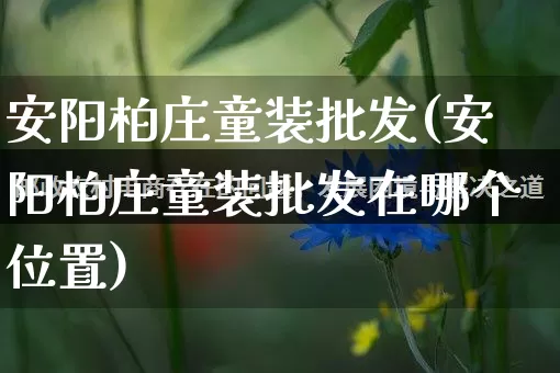 安阳柏庄童装批发(安阳柏庄童装批发在哪个位置)_https://www.rzcpcj.com_淘宝运营_第1张