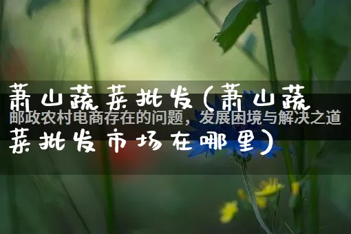 萧山蔬菜批发(萧山蔬菜批发市场在哪里)_https://www.rzcpcj.com_抖音快手_第1张