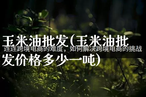 玉米油批发(玉米油批发价格多少一吨)_https://www.rzcpcj.com_开网店_第1张