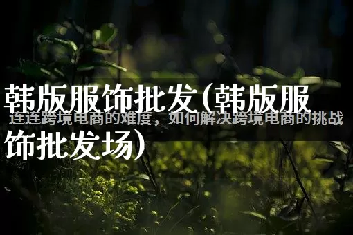 韩版服饰批发(韩版服饰批发场)_https://www.rzcpcj.com_代运营_第1张