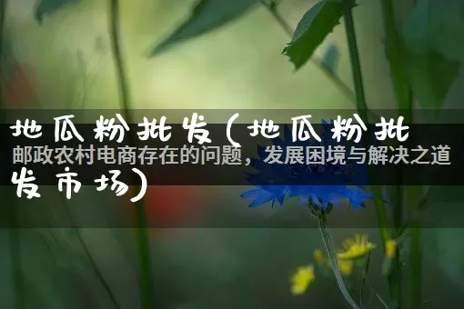 地瓜粉批发(地瓜粉批发市场)_https://www.rzcpcj.com_直通车_第1张