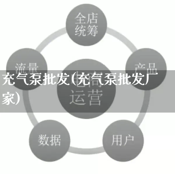 充气泵批发(充气泵批发厂家)_https://www.rzcpcj.com_淘宝运营_第1张