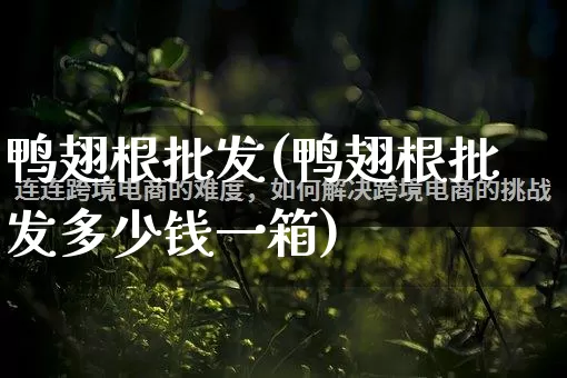 鸭翅根批发(鸭翅根批发多少钱一箱)_https://www.rzcpcj.com_淘宝运营_第1张