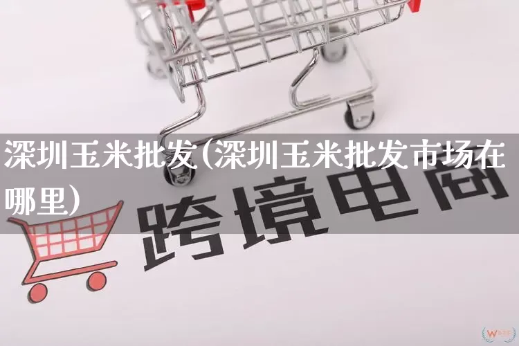 深圳玉米批发(深圳玉米批发市场在哪里)_https://www.rzcpcj.com_开网店_第1张