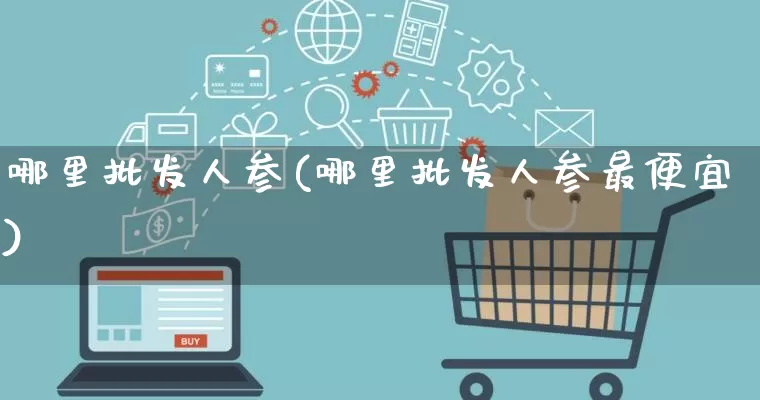 哪里批发人参(哪里批发人参最便宜)_https://www.rzcpcj.com_直通车_第1张