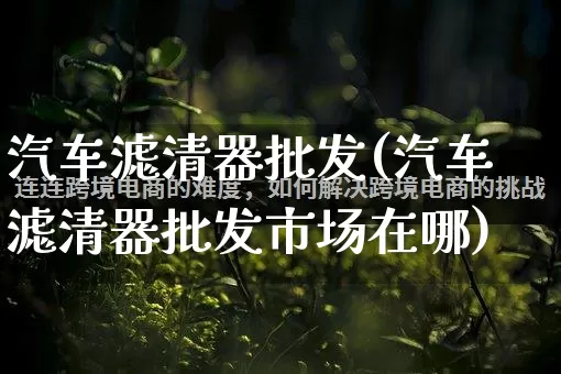 汽车滤清器批发(汽车滤清器批发市场在哪)_https://www.rzcpcj.com_开网店_第1张