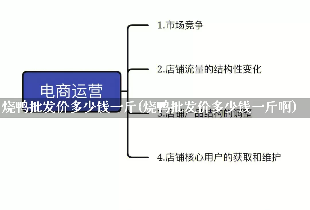 烧鸭批发价多少钱一斤(烧鸭批发价多少钱一斤啊)_https://www.rzcpcj.com_开网店_第1张