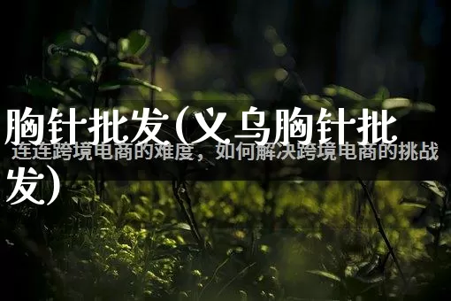 胸针批发(义乌胸针批发)_https://www.rzcpcj.com_直通车_第1张