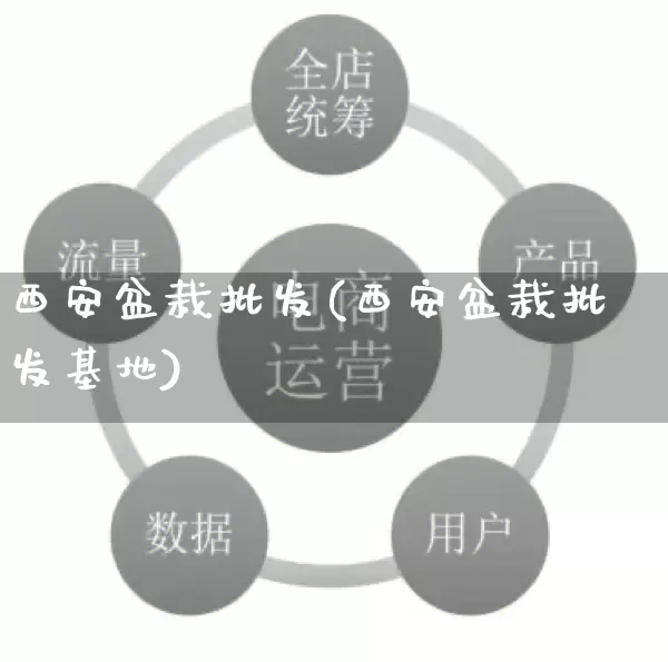 西安盆栽批发(西安盆栽批发基地)_https://www.rzcpcj.com_抖音快手_第1张