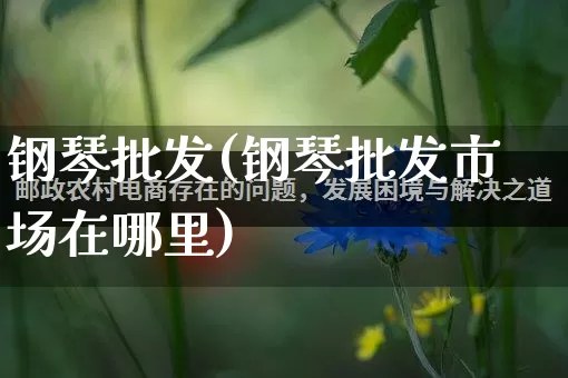 钢琴批发(钢琴批发市场在哪里)_https://www.rzcpcj.com_代运营_第1张