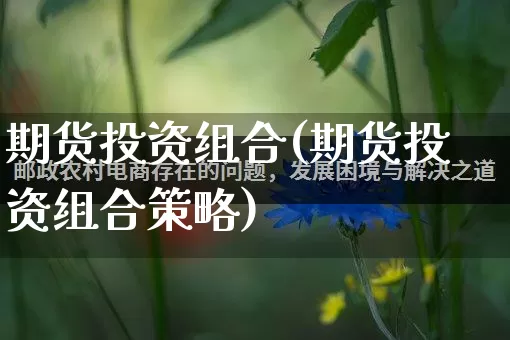 期货投资组合(期货投资组合策略)_https://www.rzcpcj.com_天猫运营_第1张