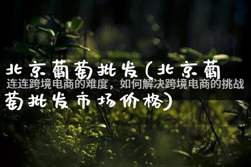 北京葡萄批发(北京葡萄批发市场价格)_https://www.rzcpcj.com_抖音快手_第1张