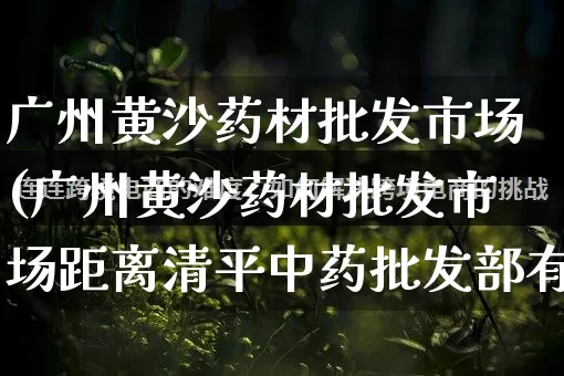 广州黄沙药材批发市场(广州黄沙药材批发市场距离清平中药批发部有几公里?)_https://www.rzcpcj.com_代运营_第1张