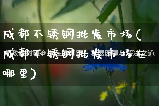 成都不锈钢批发市场(成都不锈钢批发市场在哪里)_https://www.rzcpcj.com_淘宝运营_第1张