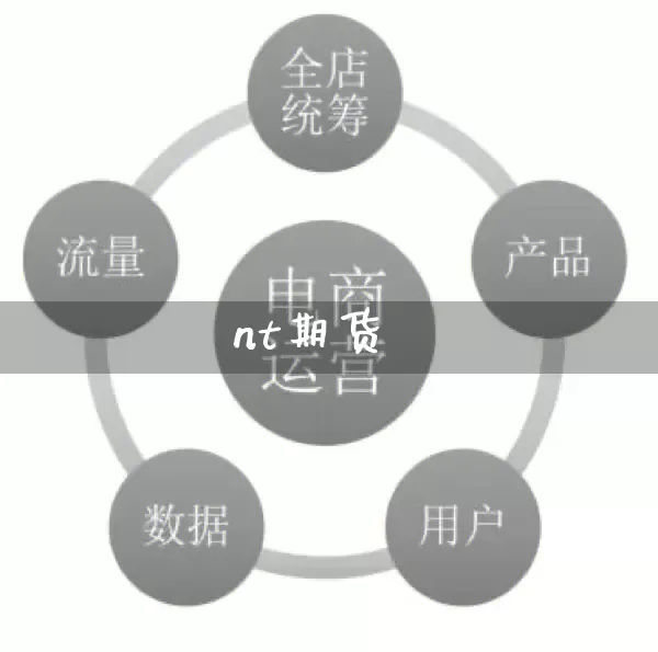 nt期货_https://www.rzcpcj.com_淘宝运营_第1张