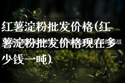 红薯淀粉批发价格(红薯淀粉批发价格现在多少钱一吨)_https://www.rzcpcj.com_淘宝运营_第1张