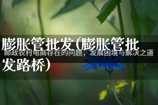 膨胀管批发(膨胀管批发路桥)_https://www.rzcpcj.com_抖音快手_第1张