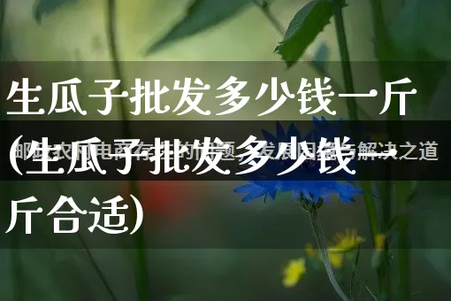 生瓜子批发多少钱一斤(生瓜子批发多少钱一斤合适)_https://www.rzcpcj.com_直通车_第1张