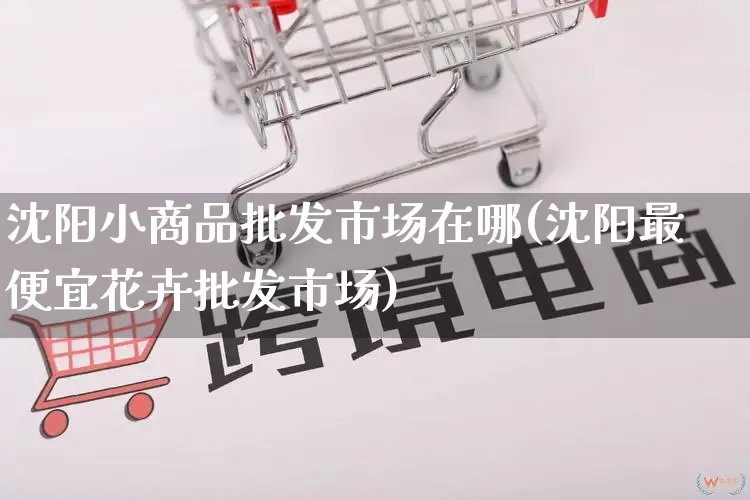 沈阳小商品批发市场在哪(沈阳最便宜花卉批发市场)_https://www.rzcpcj.com_抖音快手_第1张